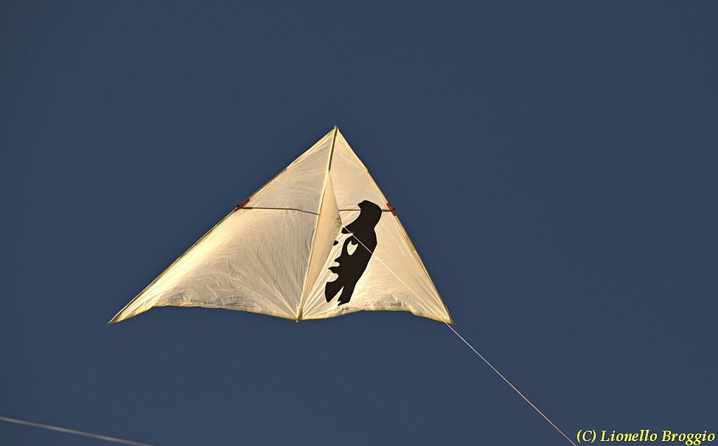 32 FESTIVAL CERVIA 2012 - 198.jpg